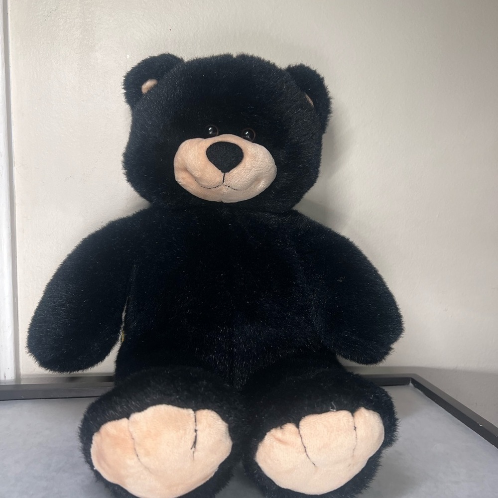Build-A-Bear Black Plush Teddy with Beige Face & Paws